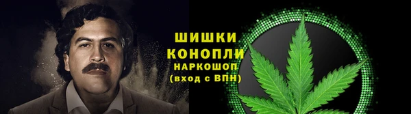 гидра Беломорск