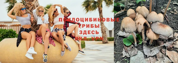 герыч Белокуриха