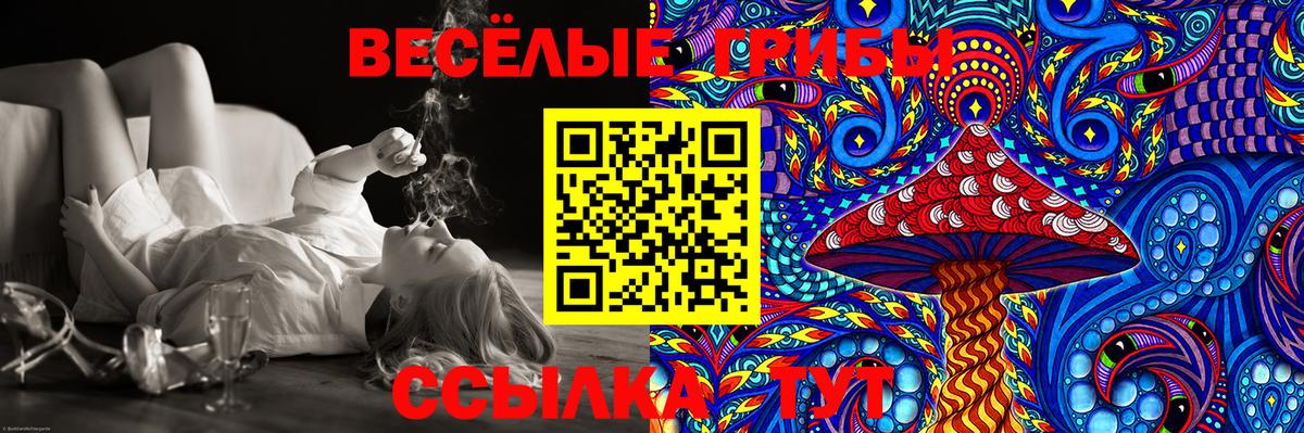 Галлюциногенные грибы Psilocybe Бузулук