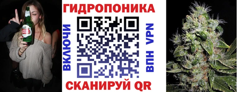 Бошки марихуана AK-47  магазин продажи наркотиков  Бузулук 