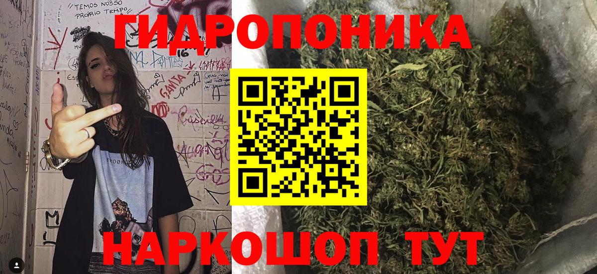 Бошки Шишки MAZAR Бузулук